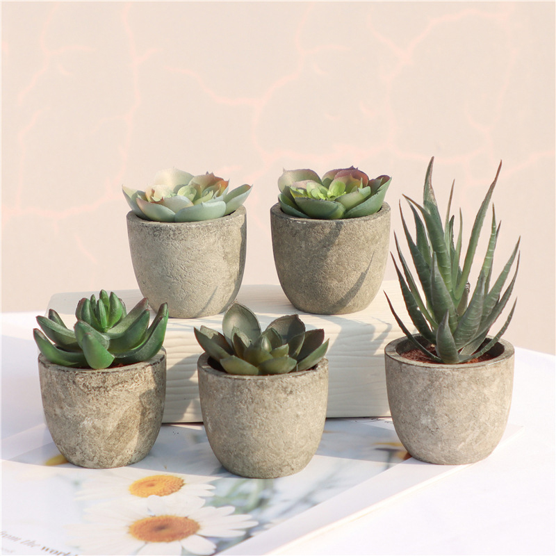 Bonsai Garden Sushi - Mini Artificial Aloe Plants Bonsai Small