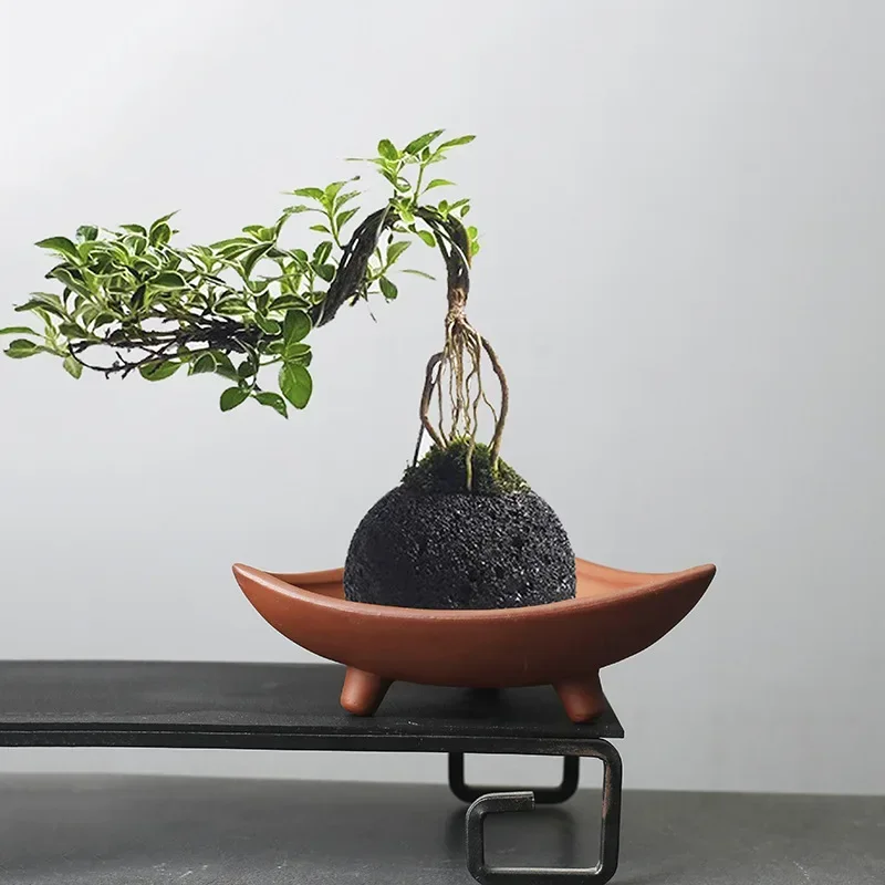 Mini Bonsai Zen Garden - Personalized Ceramic Flower Pots for Bamboo