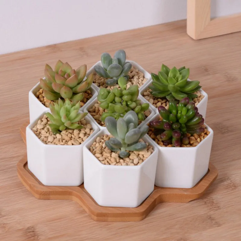 Mini Bonsai Zen Garden - Set of 4/7/9/10 Hexagon Flowerpots White