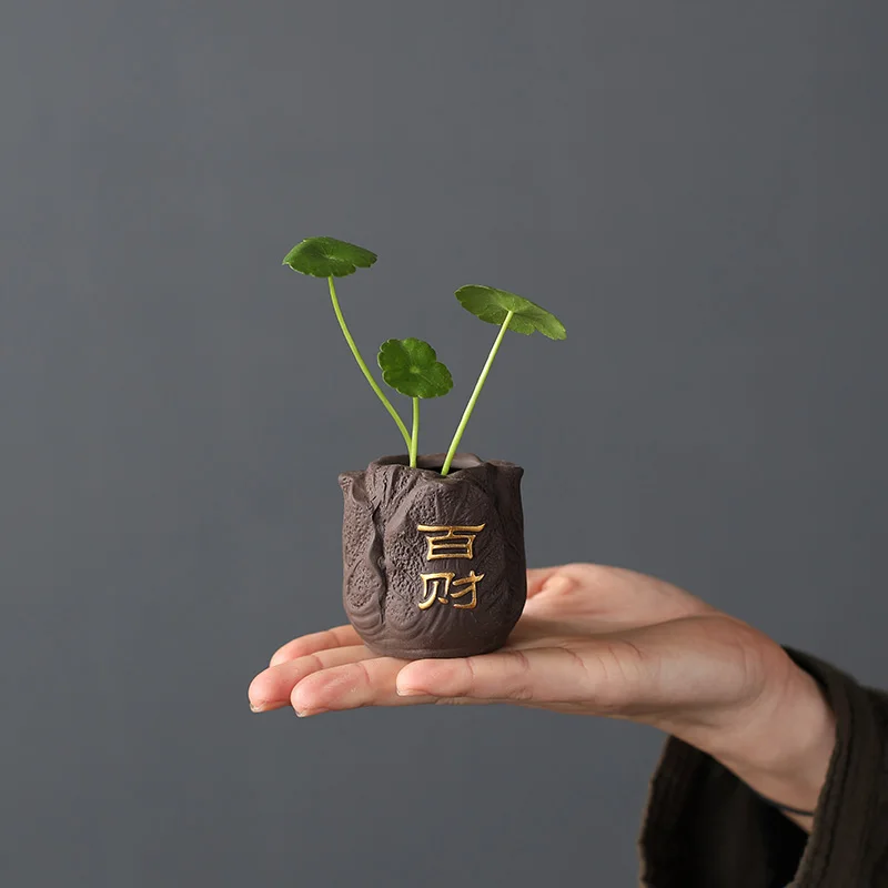 Creative Purple Clay Tea Pet F - Bonsai Garden Ornaments review and price