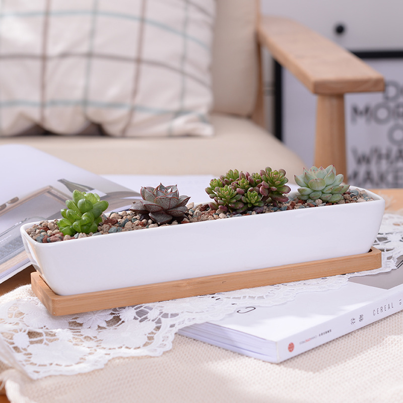 Long Rectangle White Ceramic S - Mini Bonsai Zen Garden review and price