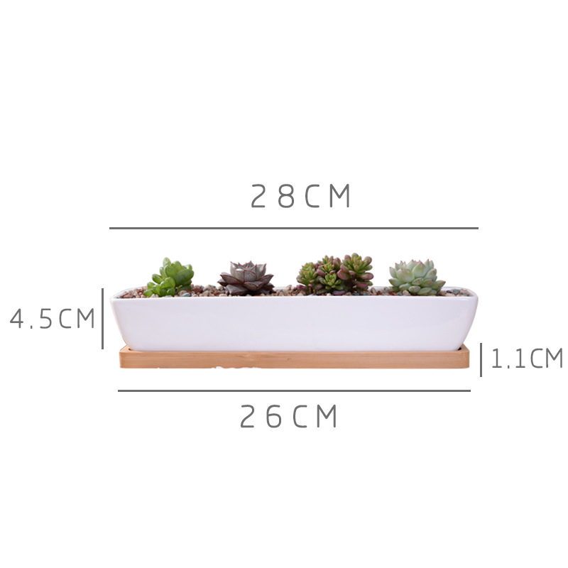 Long Rectangle White Ceramic S - Mini Bonsai Zen Garden review and price