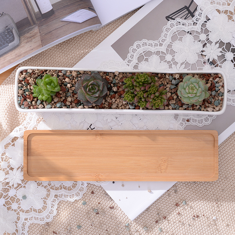 Long Rectangle White Ceramic S - Mini Bonsai Zen Garden review and price