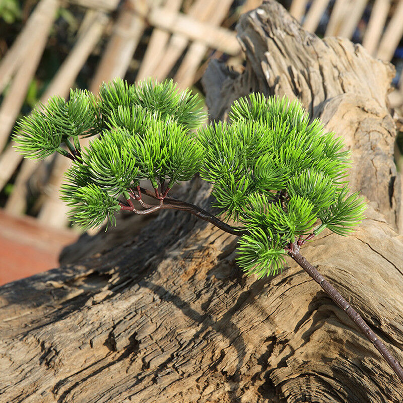 42cm Artificial Plant Pine Bra - Bonsai Garden Sushi review and price