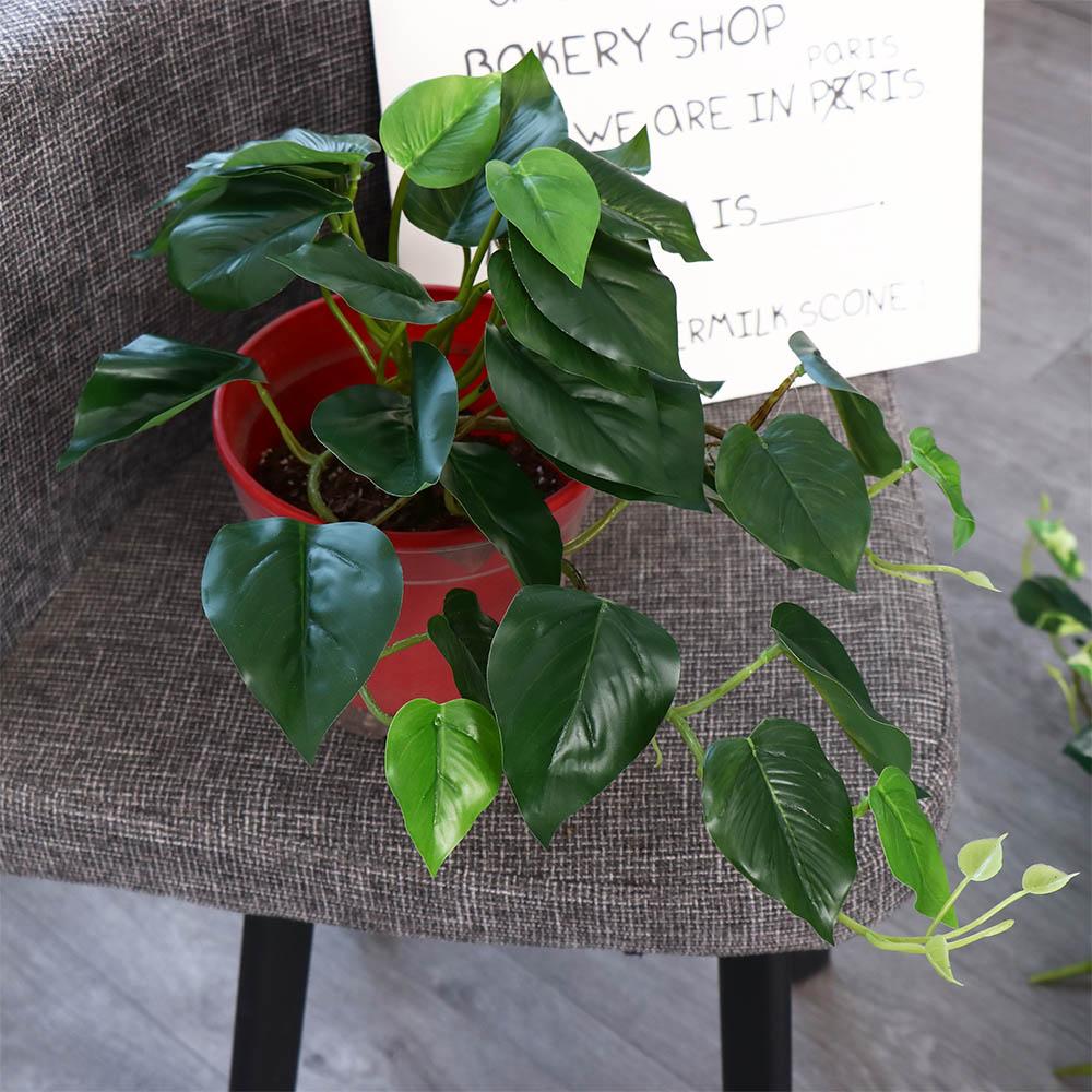 Tropical Nordic Desk Office Ga - Bonsai Garden Desk review and price