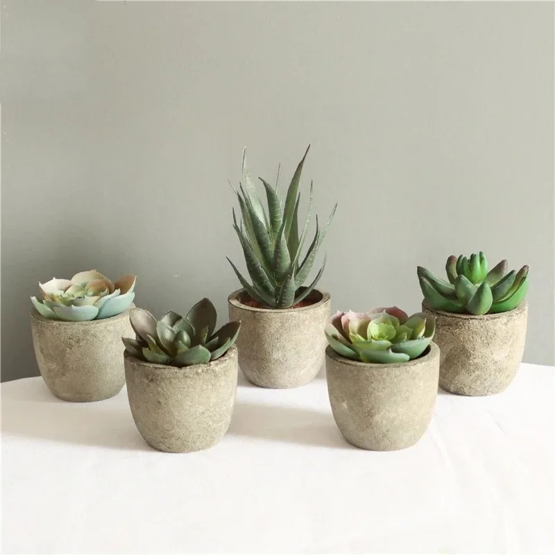 Mini Artificial Aloe Plants Bo - Bonsai Garden Sushi review and price