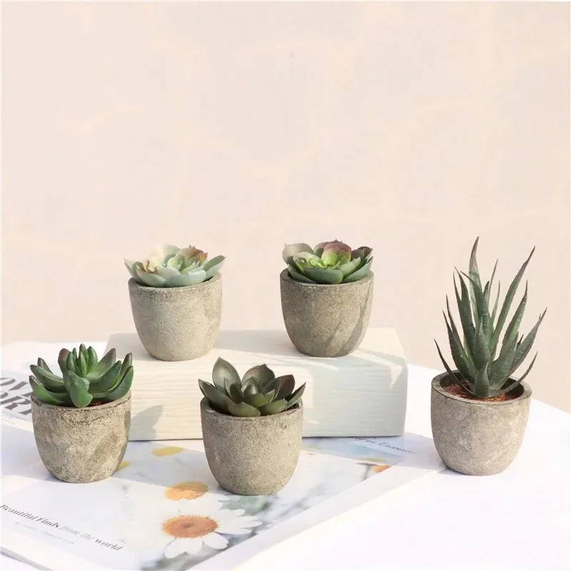 Mini Artificial Aloe Plants Bo - Bonsai Garden Sushi review and price