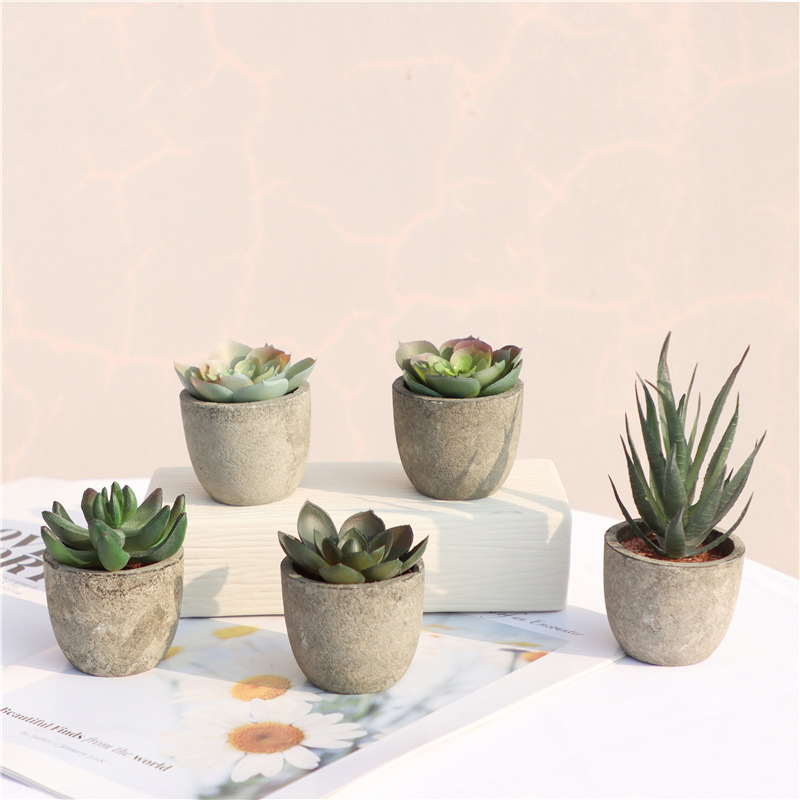 Mini Artificial Aloe Plants Bo - Bonsai Garden Sushi review and price