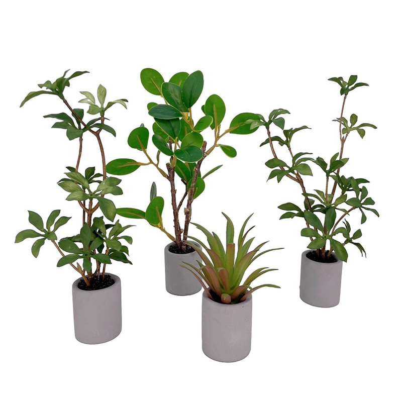 1:6 Dollhouse Miniature Potted - Bonsai Garden Ornaments review and price
