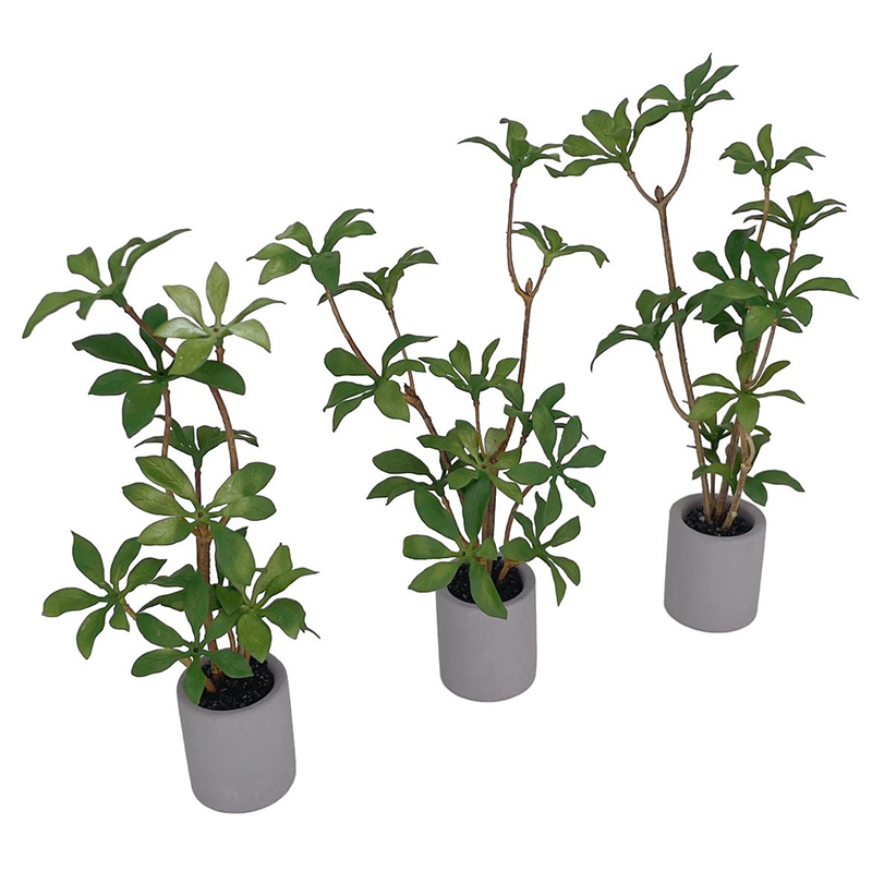 1:6 Dollhouse Miniature Potted - Bonsai Garden Ornaments review and price