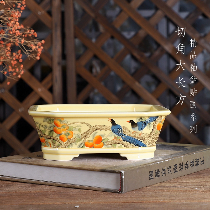 Porcelain Rectangle Bonsai Pot - Bonsai Garden Desk review and price