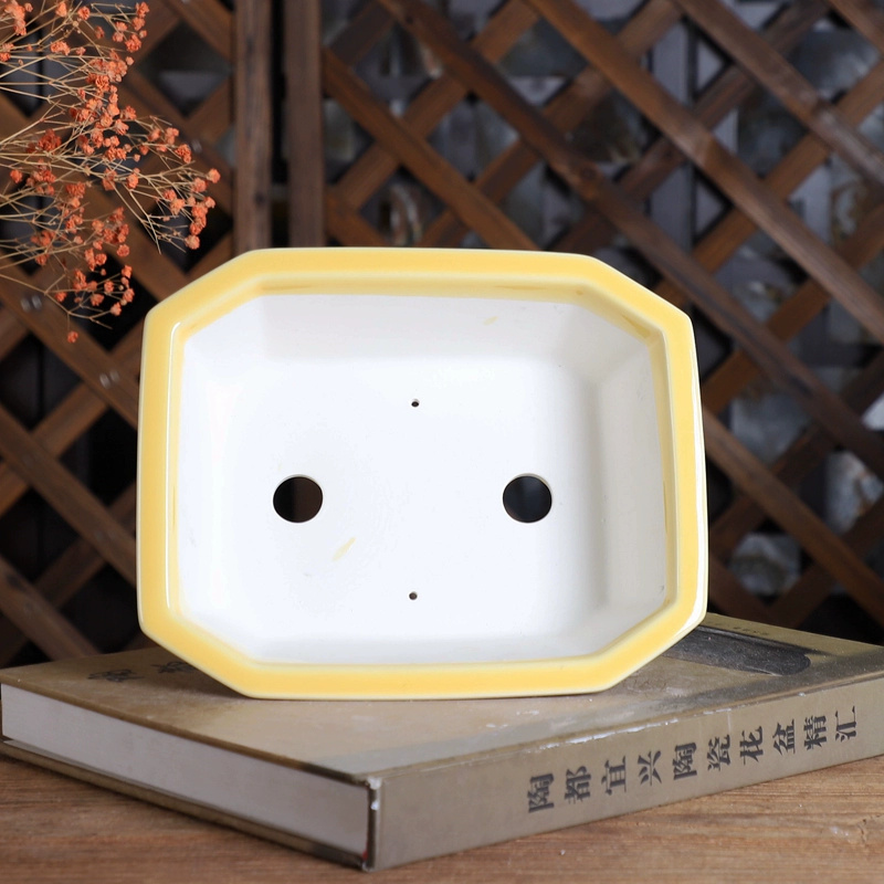 Porcelain Rectangle Bonsai Pot - Bonsai Garden Desk review and price