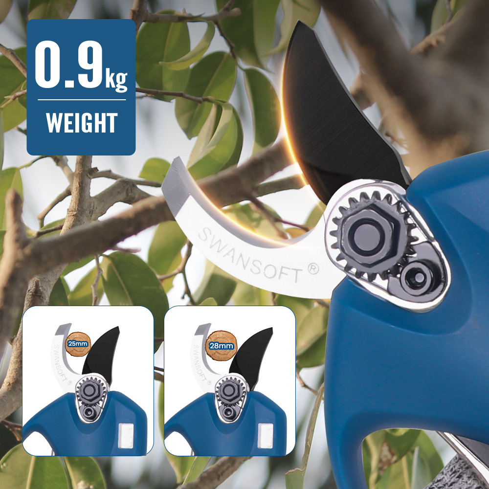 16.8V 2pc Lithium-Ion Battery  - Us Bonsai Garden review and price
