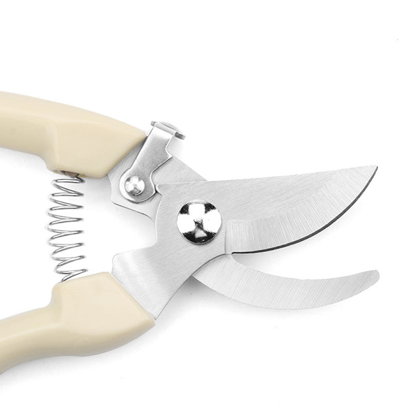 Stainless Steel Garden Scissor - Bonsai Garden World review and price