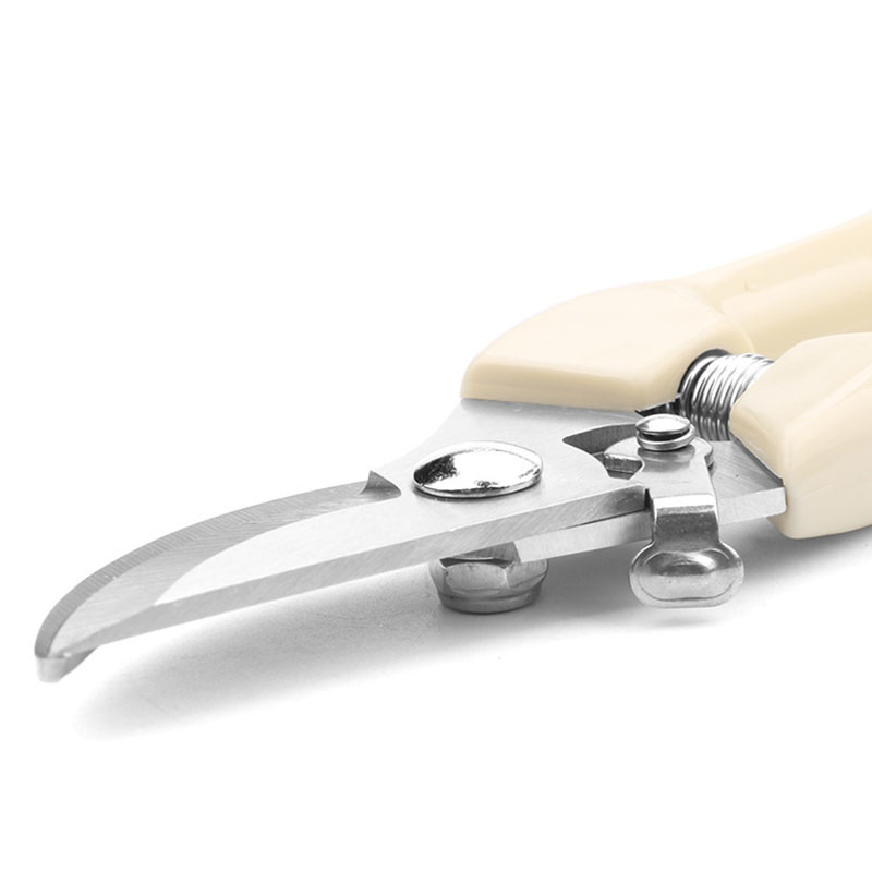 Stainless Steel Garden Scissor - Bonsai Garden World review and price