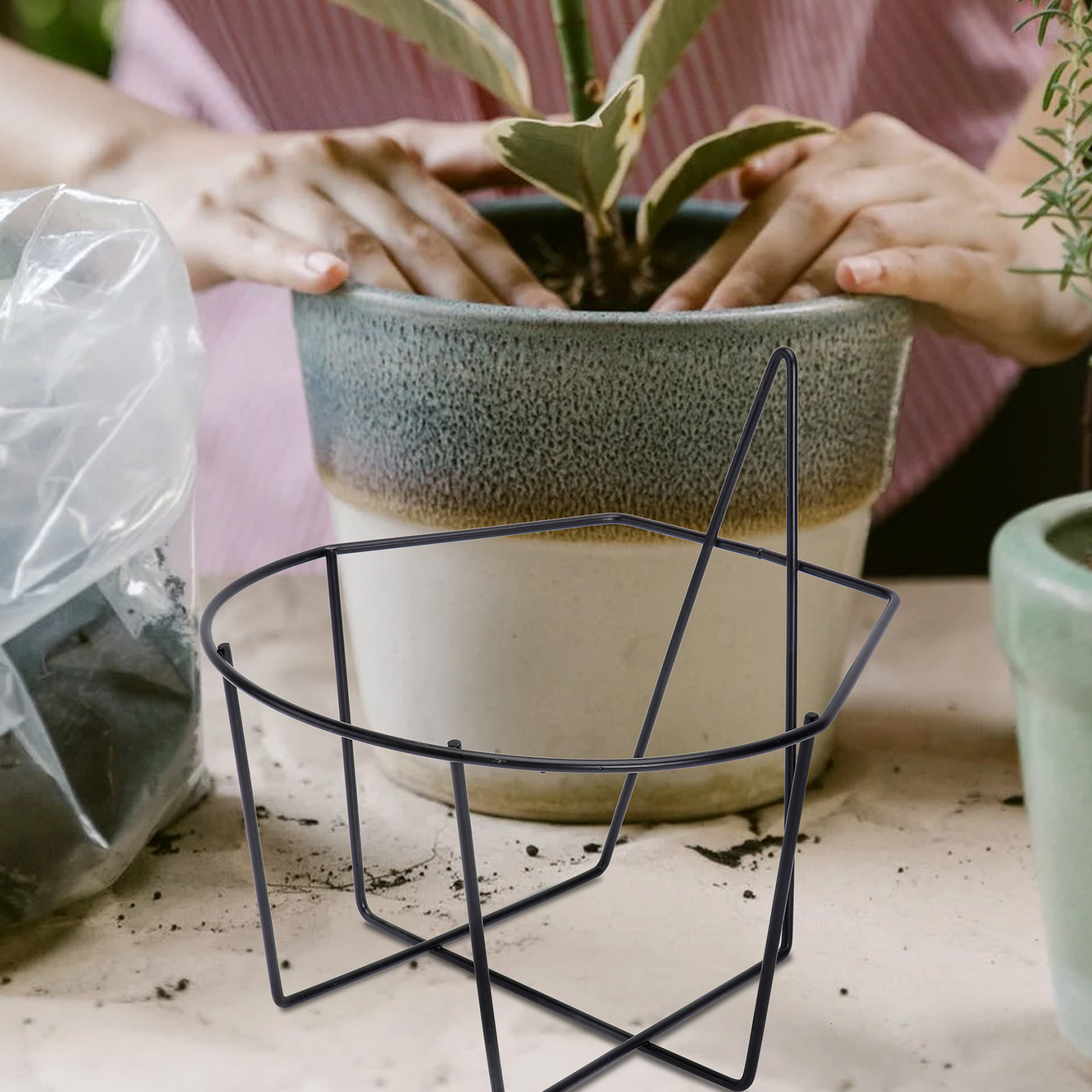 1Pcs Ironwork Wall Plant Rack  - Us Bonsai Garden review and price