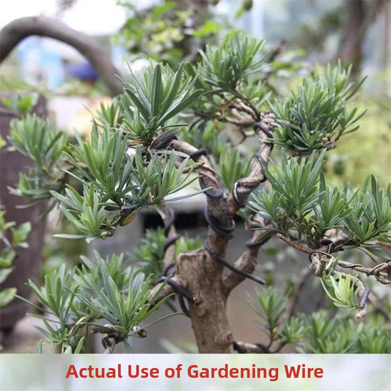 1.5MM Bonsai Wires Aluminum Bo - Us Bonsai Garden review and price