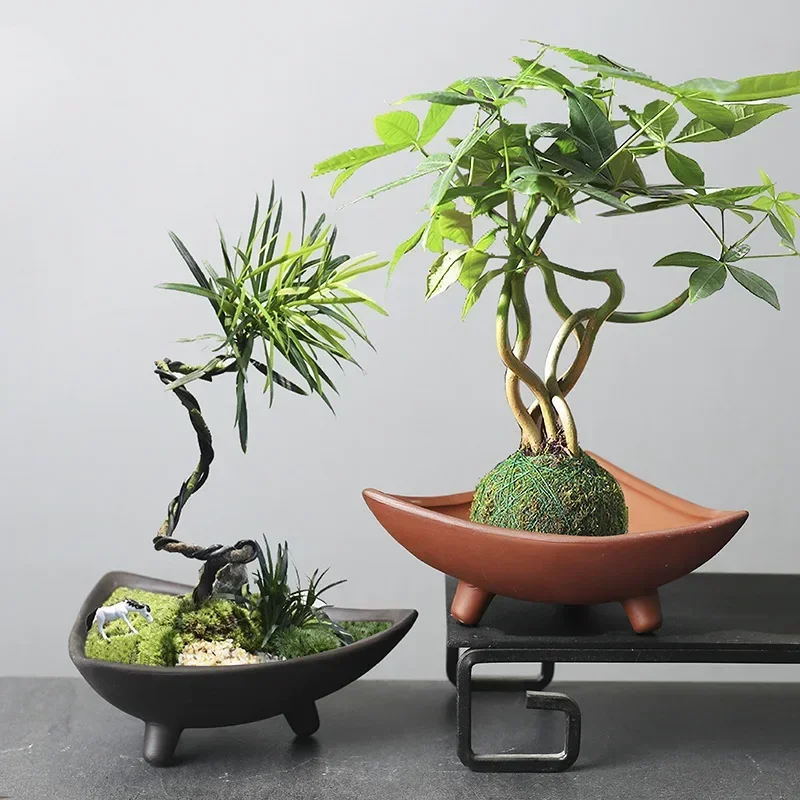 Personalized Ceramic Flower Po - Mini Bonsai Zen Garden review and price