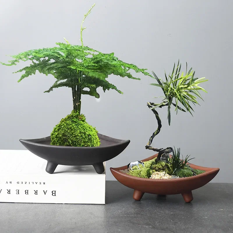 Personalized Ceramic Flower Po - Mini Bonsai Zen Garden review and price