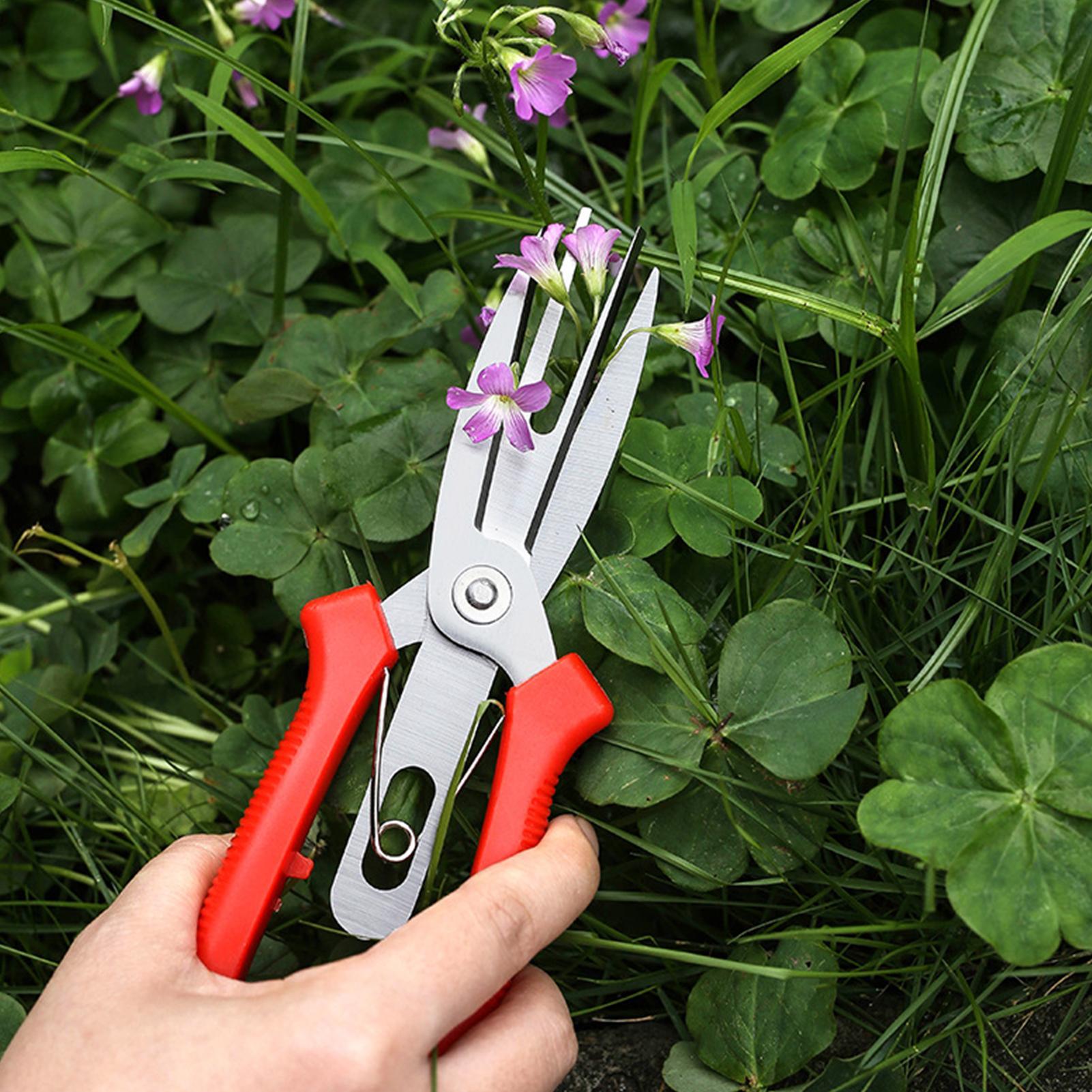 Garden Shears Stainless Steel  - Us Bonsai Garden review and price