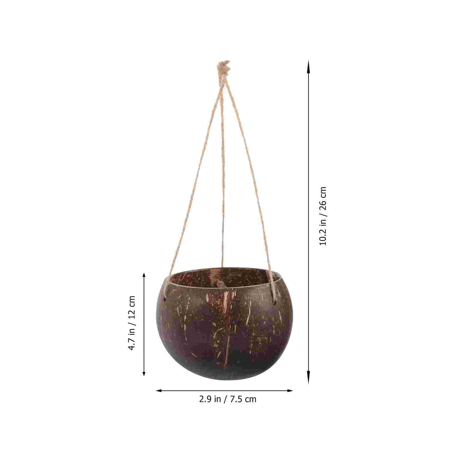 Large Hanging Planter Coconut  - Mini Bonsai Zen Garden review and price