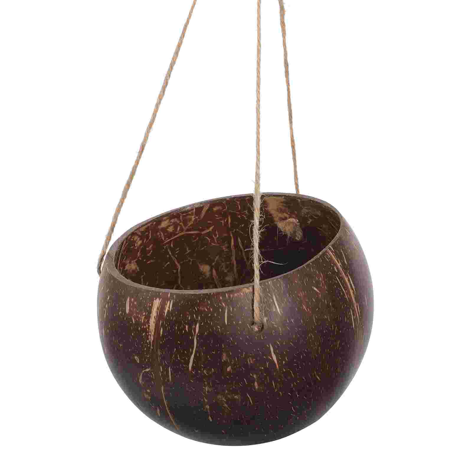 Large Hanging Planter Coconut  - Mini Bonsai Zen Garden review and price
